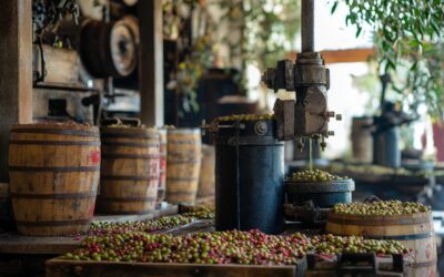 Visite e degustazioni